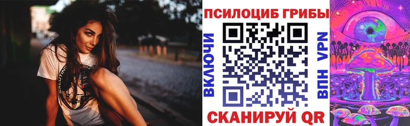 где найти   дарк нет Telegram  Галлюциногенные грибы Magic Shrooms  Ядрин 