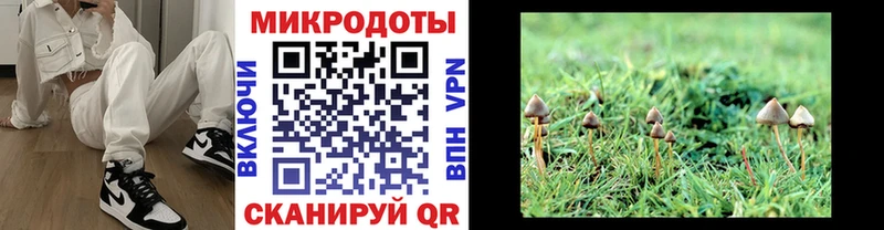 Псилоцибиновые грибы Magic Shrooms Ядрин
